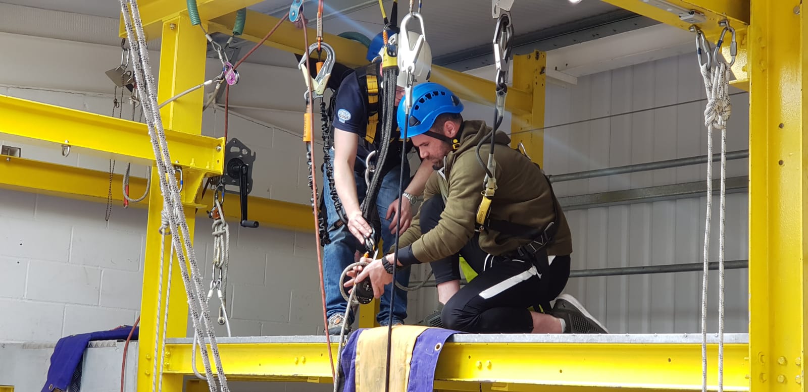 1B16b395 940C 4Bcd B81c 3A8eb7a7f343